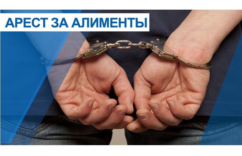 Жительница Красногвардейского района осуждена за неуплату алиментов.